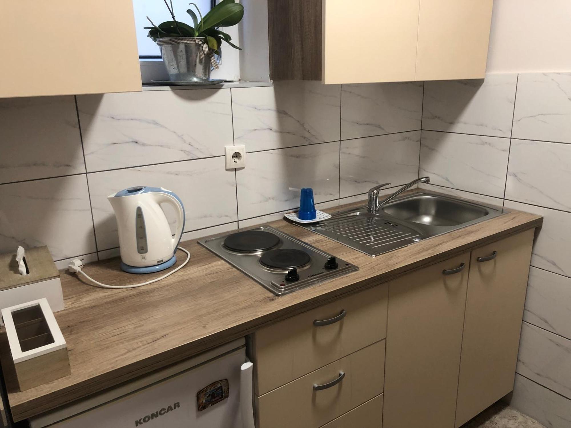 Dunja Apartment Novi Sad